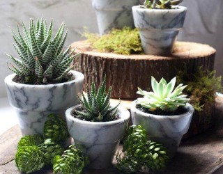 10 Modern Planters That Welcome The Spring In Style