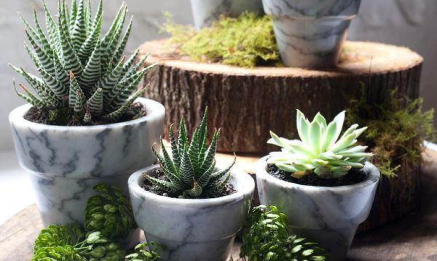 10 Modern Planters That Welcome The Spring In Style