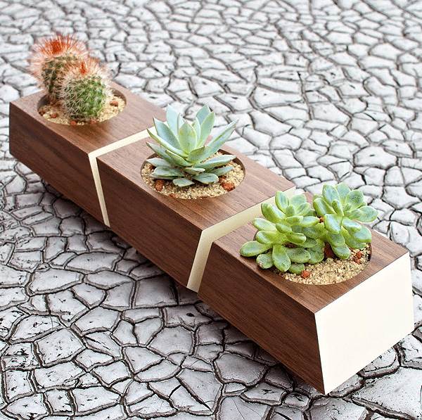 Modern wooden indoor planter