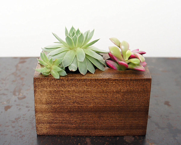 Modern wooden planter