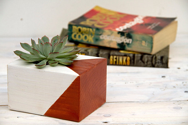 Painted wooden succulent planter