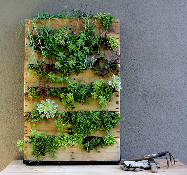 Palette garden planter living wall