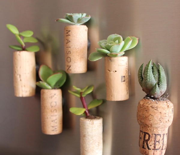 cork planter diy