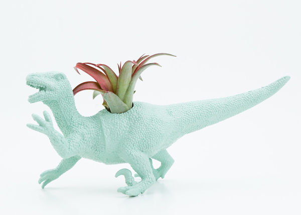 dinosaur planter toy