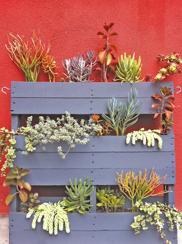 pallet-garden