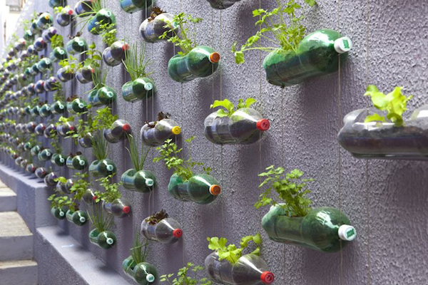 soda bottle modern planter 2