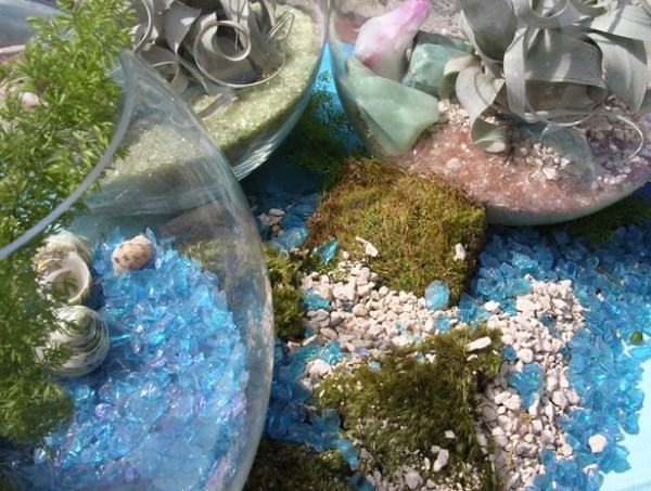 Air plants, glass and minerals