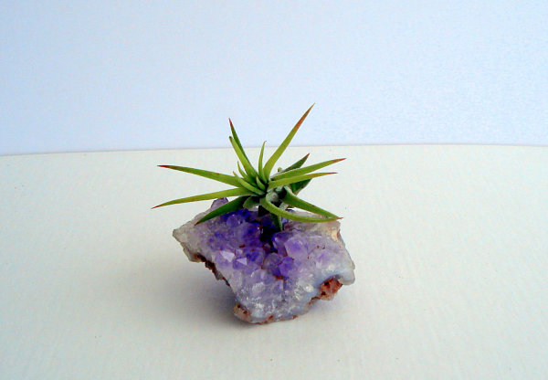 Amethyst crystal planter