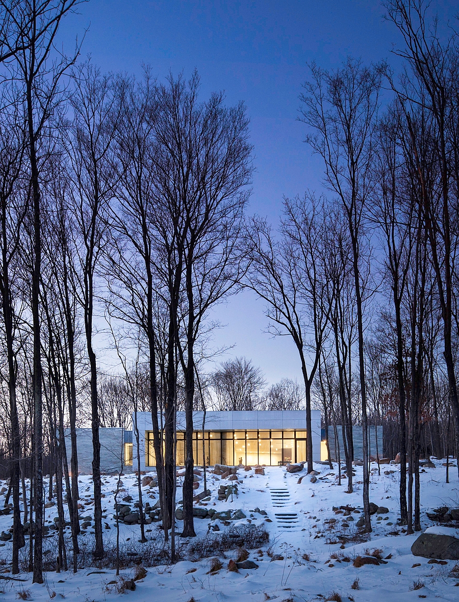 Backyard of the house leading into the woods