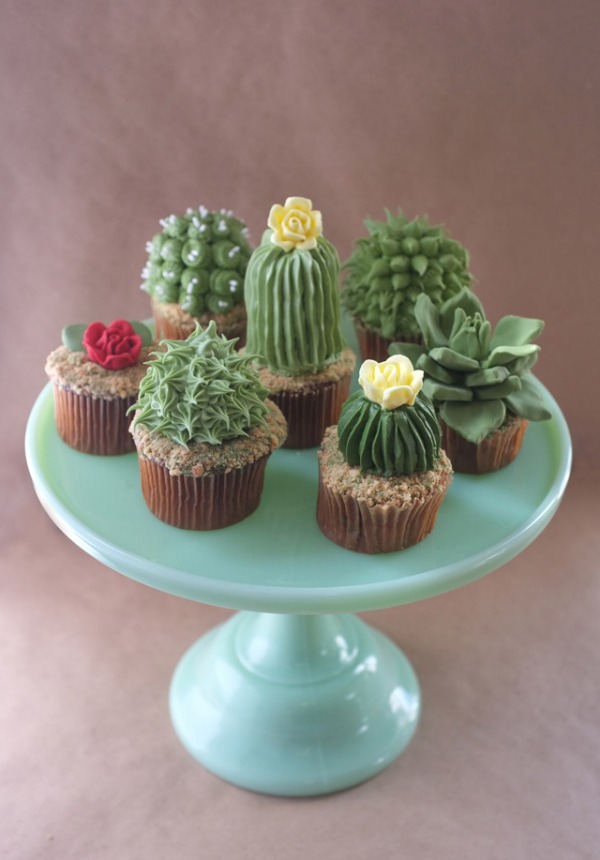 Cupcake succulents.jpg