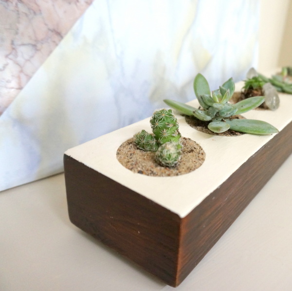 DIY planter filled with succulents