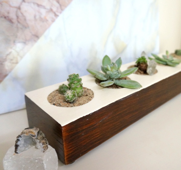 DIY succulent planter with a painted top