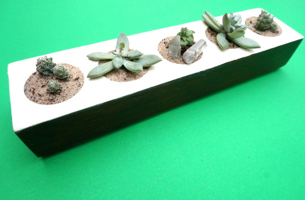 DIY succulent planter