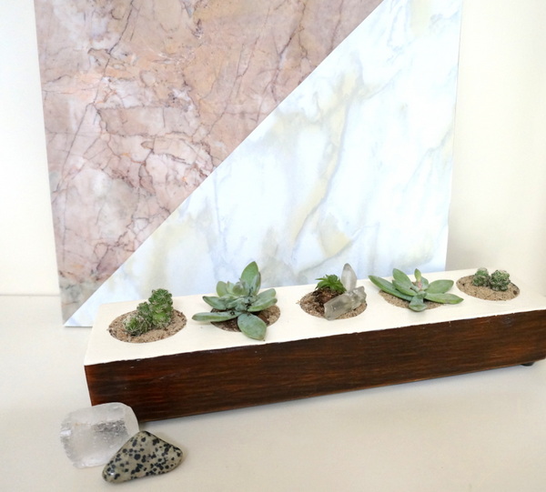 DIY succulent project