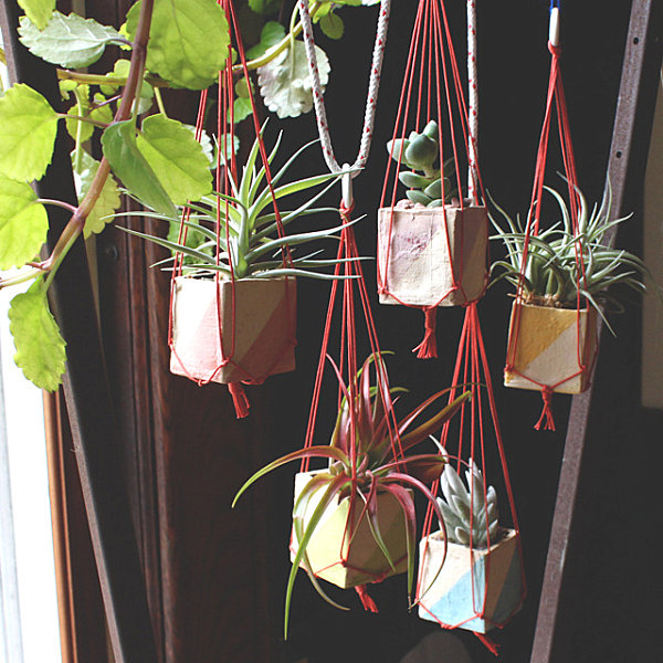 Geometric planters filled with succulents