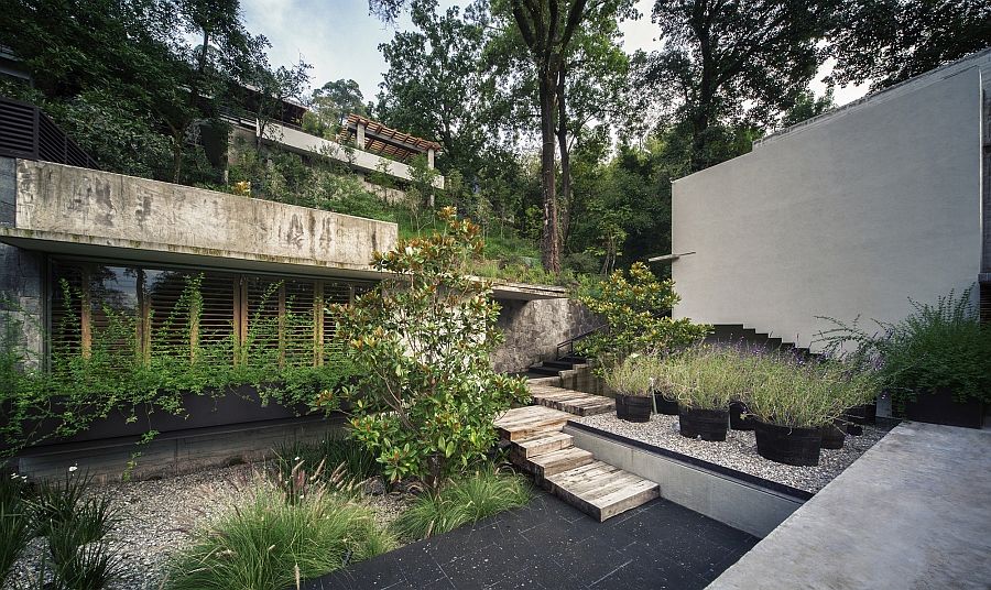 Interior courtyard filled with greenery