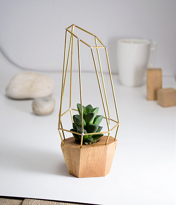 Modern polygon planter