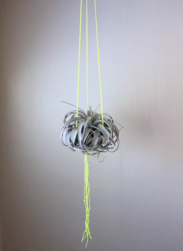 Neon yellow macrame air plant holder