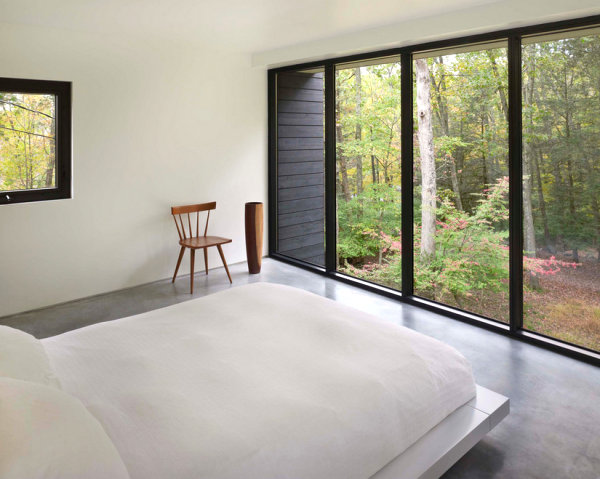 Plant-filled view in a modern bedroom