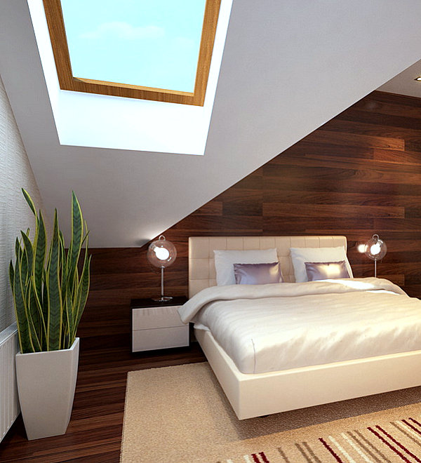 plants bedroom plant snake modern indoor bed interior floor choosing shade loving decoist homesfeed