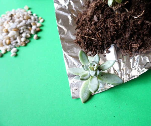 Succulents, gravel and soil will complete this DIY planter