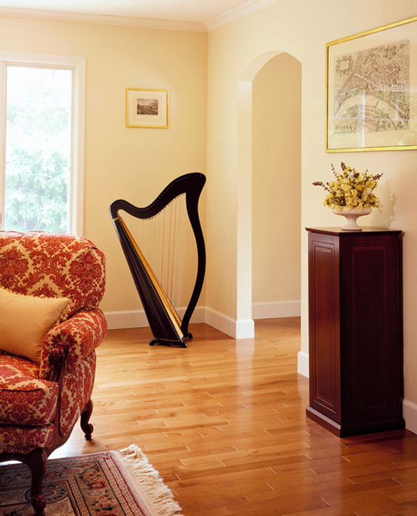 Cool standing harp in the living room