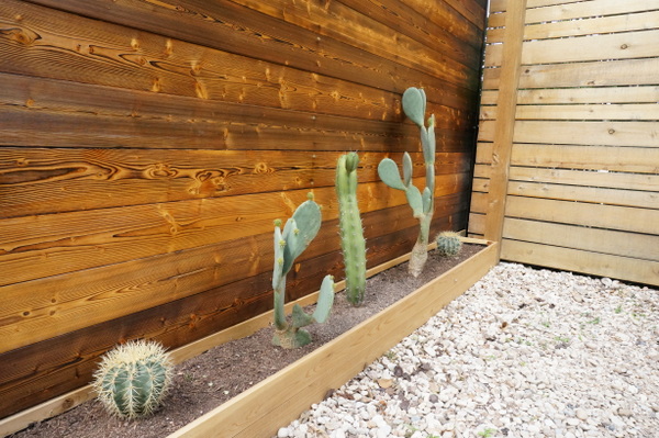 A cactus planter adds to the home's contemporary charm