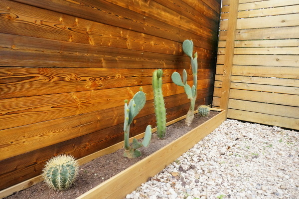 A cactus planter adds to the home's contemporary charm