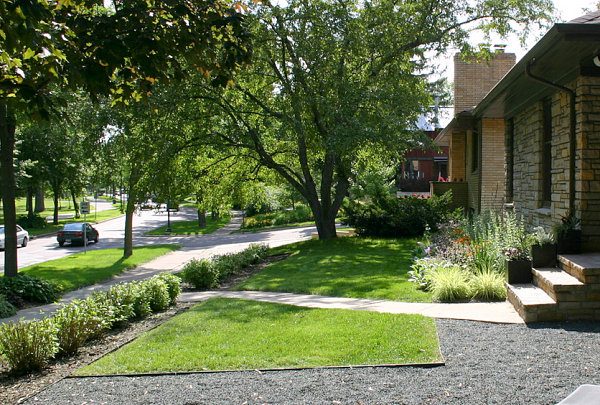 Angular xeriscaping