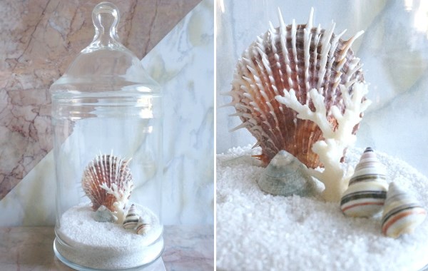 Apothecary jar of seashells