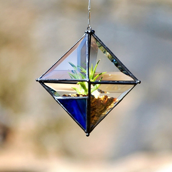 Beveled glass air plant holder