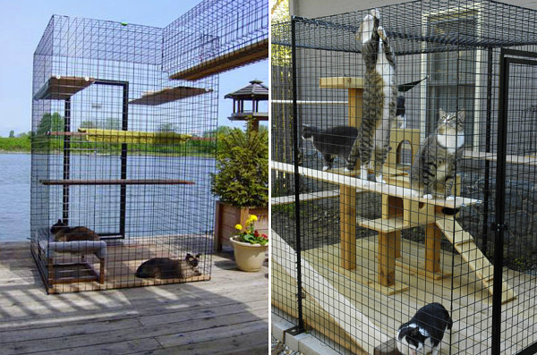 Cat enclosures from Home of Habitat Haven