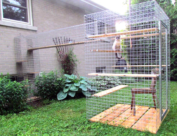 Catio with climbing ledges