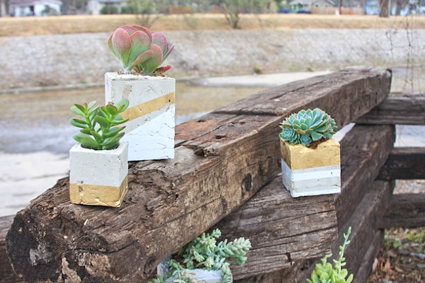 Cement planters with gold embellishments