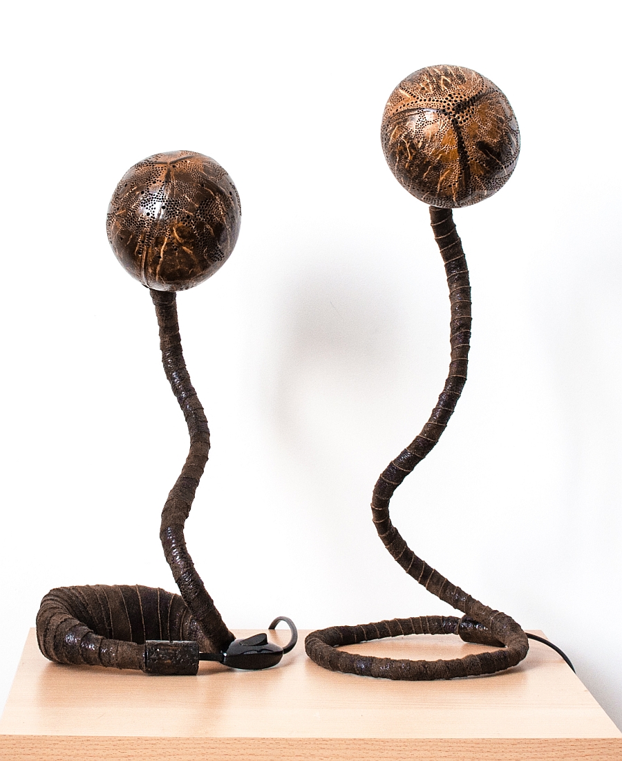 Creative form of the organic Nymphs lamps