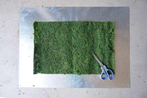 Cutting the moss