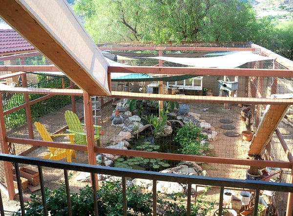 Expansive catio with special features