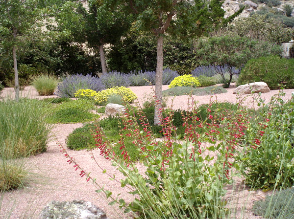 Extensive xeriscaping on an albuquerque property