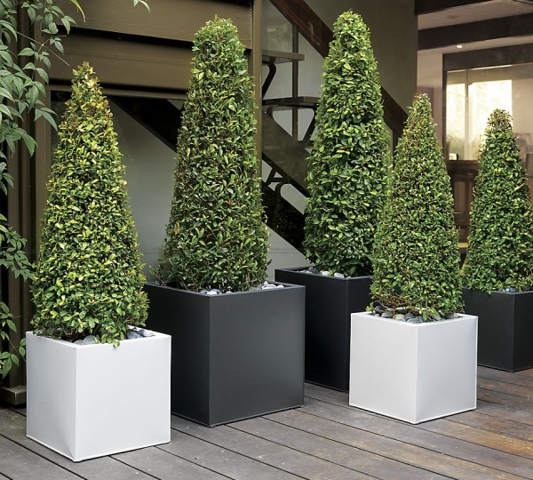 Galvanized steel planters