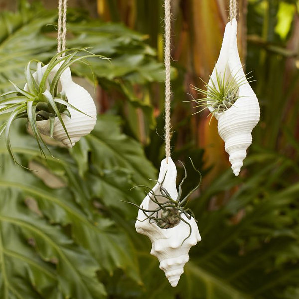 Hanging shell planters from West Elm
