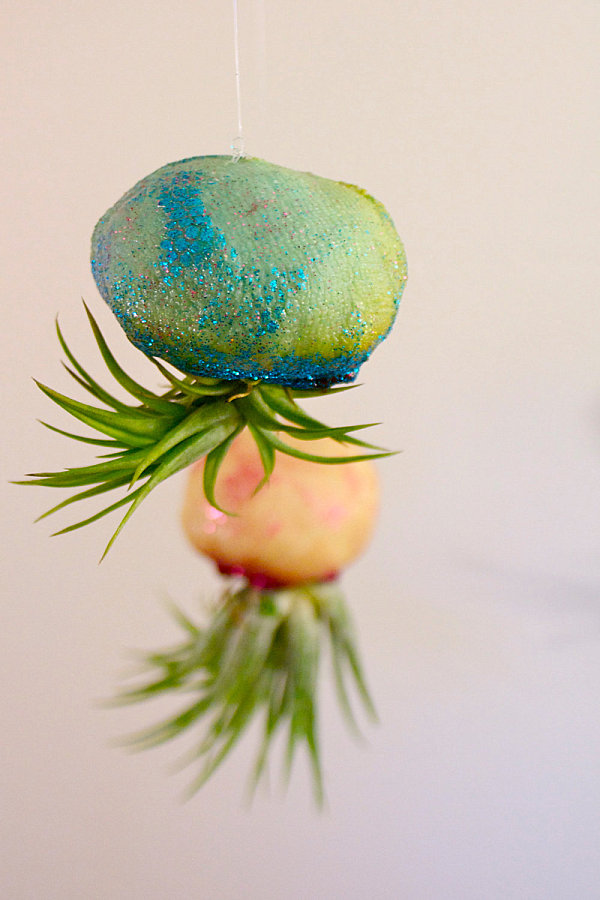 Jellyfish air plant container