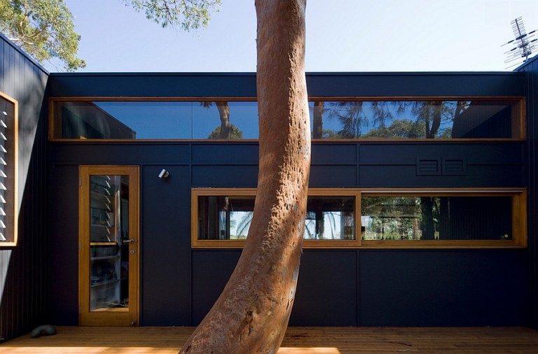 Offer house. Дерево посреди дома. Дерево во внешнем дизайне дома.