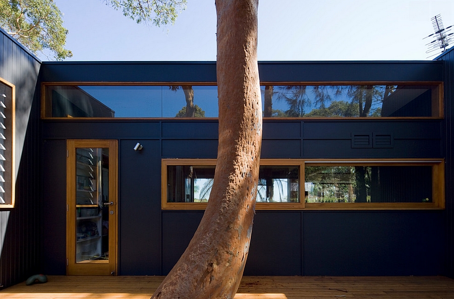 Lovely use of windows to add visual contrast to the exterior