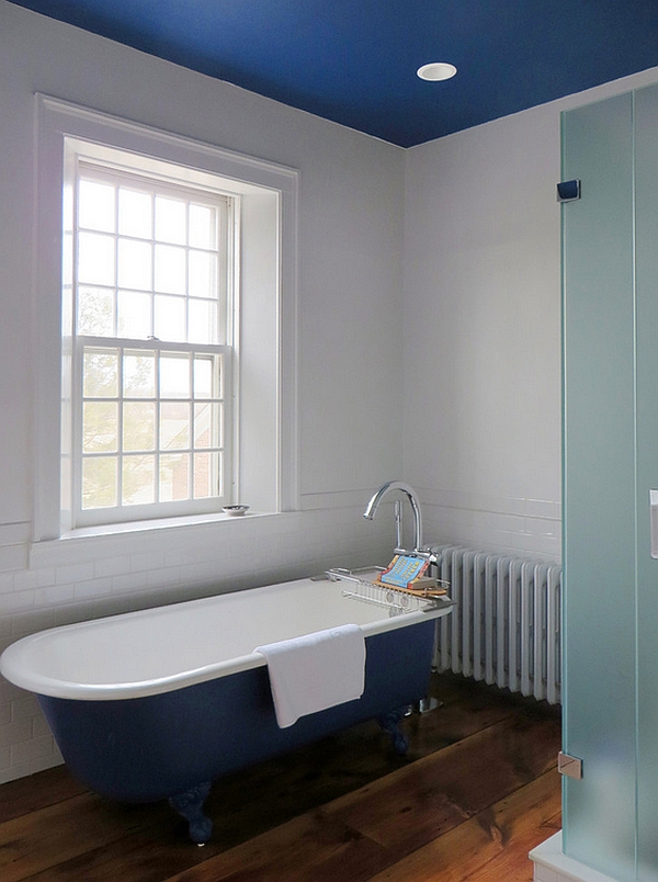 Master bathroom in blue and white with painted ceiling and bathtub