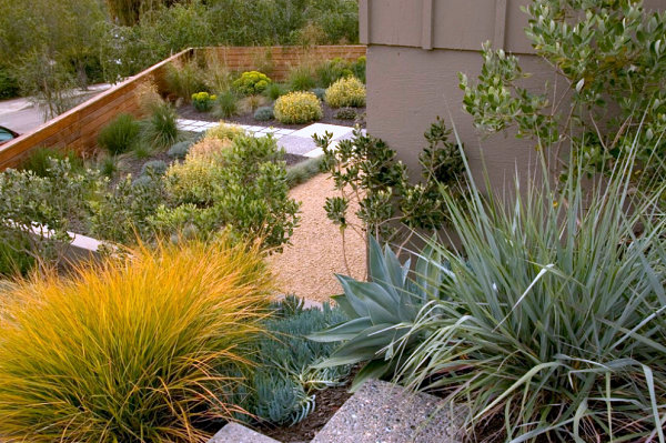 Mulch and rocks in a xeriscaped yard