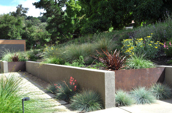 Native grasses in a xeriscaped lanscape