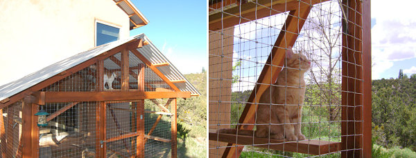 Rustic catio design