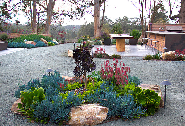 Striking use of color in a xeriscaped yard