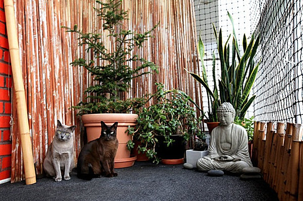 Stylish catio with ample plants