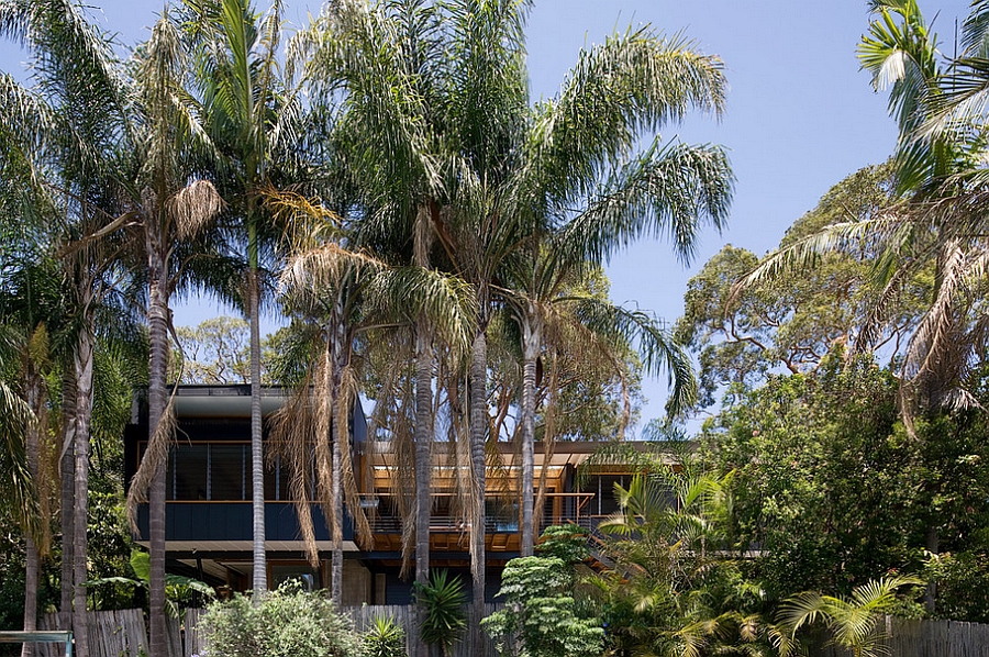 Stylish modern Aussie Home draped in plenty of natural green